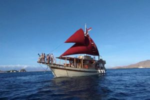 La Unua Boat Indonesia - Liveaboard Indonesia (1)