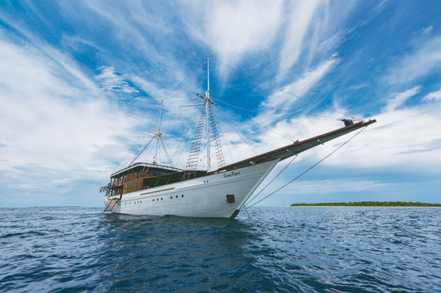 Ocean Pure - Liveaboard Indonesia new (1)