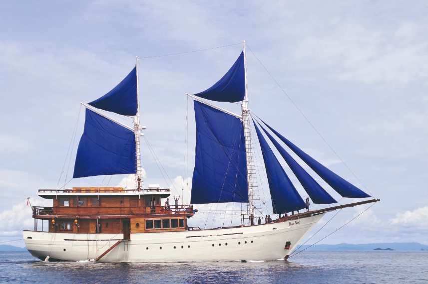 Ocean Pure - Liveaboard Indonesia new (11)