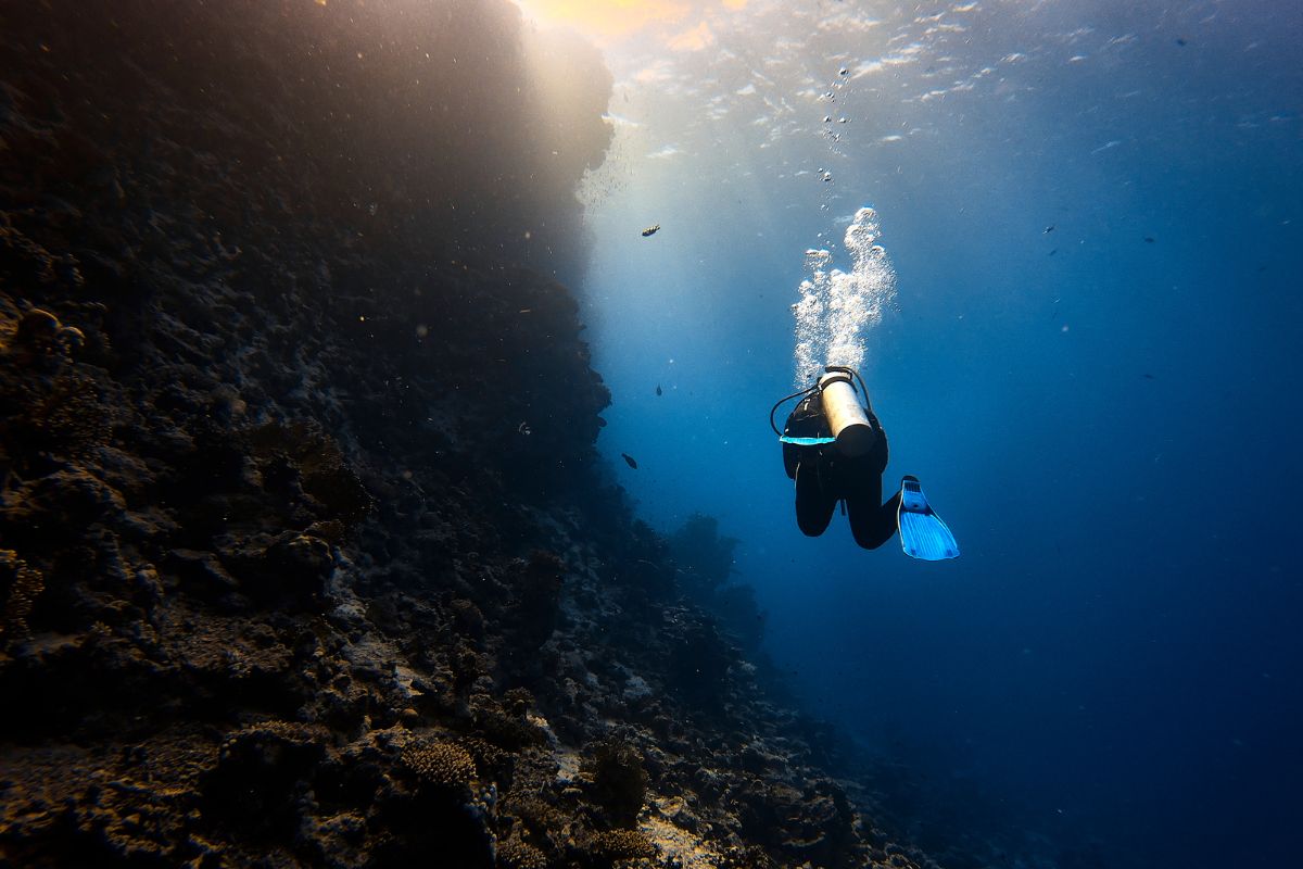 xr:d:DAFzuU4uaAc:1639,j:7719578743639234945,t:23111215