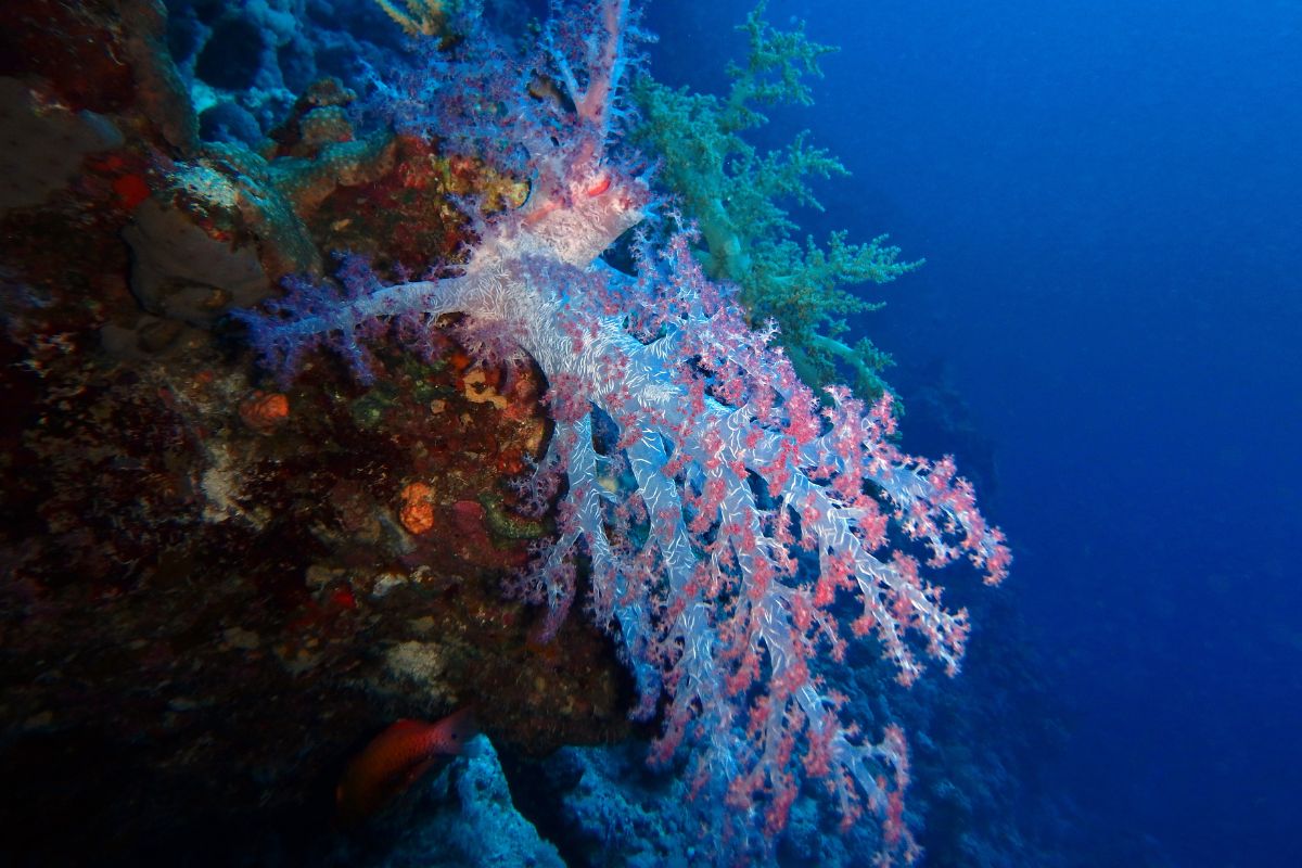 xr:d:DAFzuU4uaAc:1622,j:6999002804406991521,t:23111215