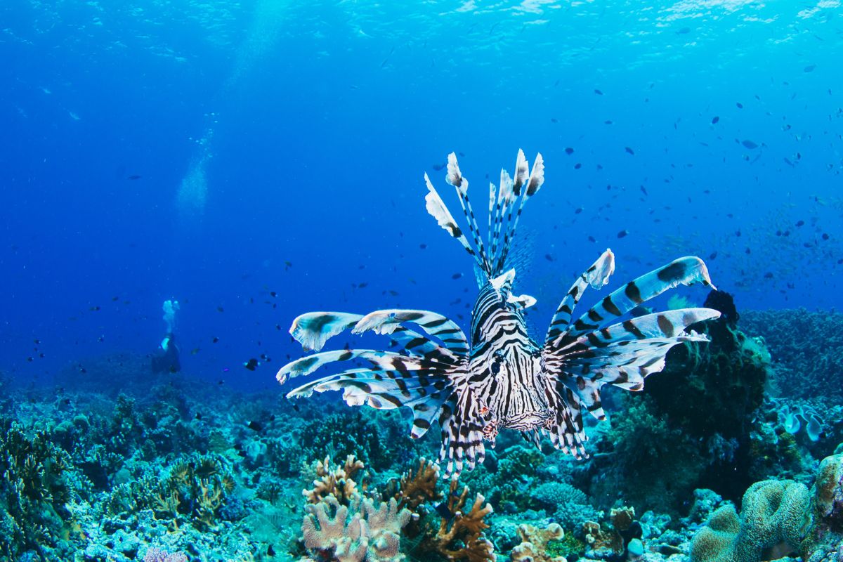 xr:d:DAFzuU4uaAc:331,j:2914237800098965882,t:23111106