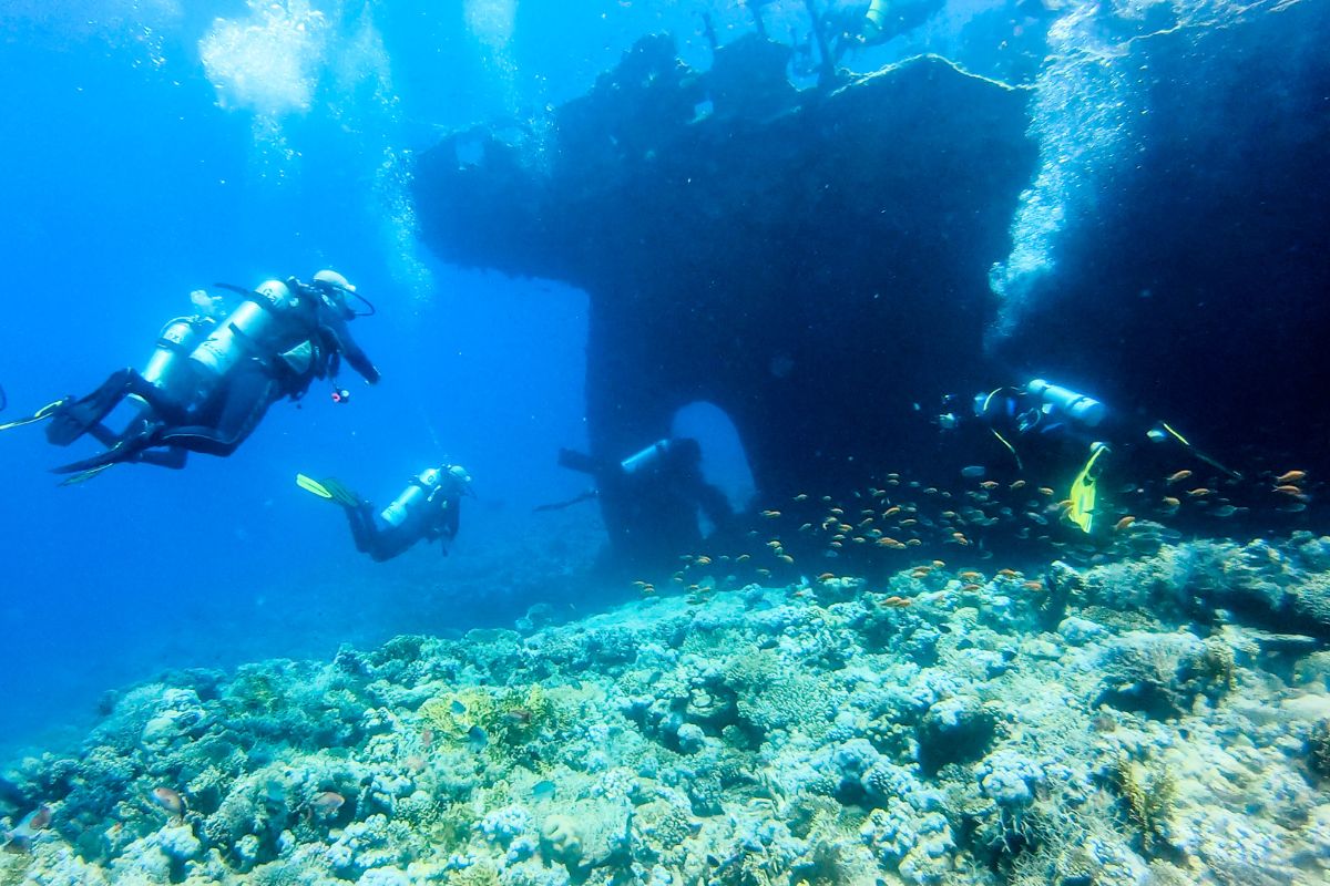 xr:d:DAFzuU4uaAc:1944,j:4707796559812528719,t:23111307