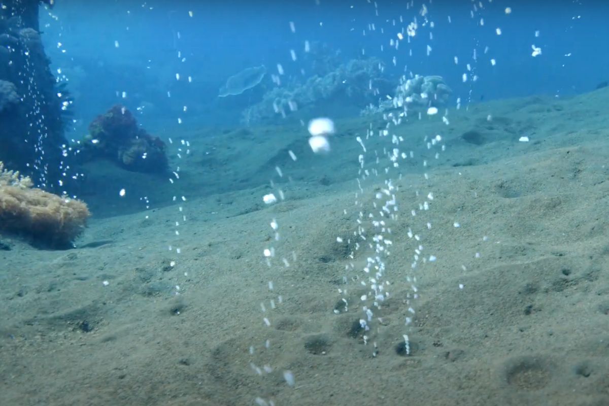 xr:d:DAFzuU4uaAc:1635,j:8466050383440397037,t:23111215