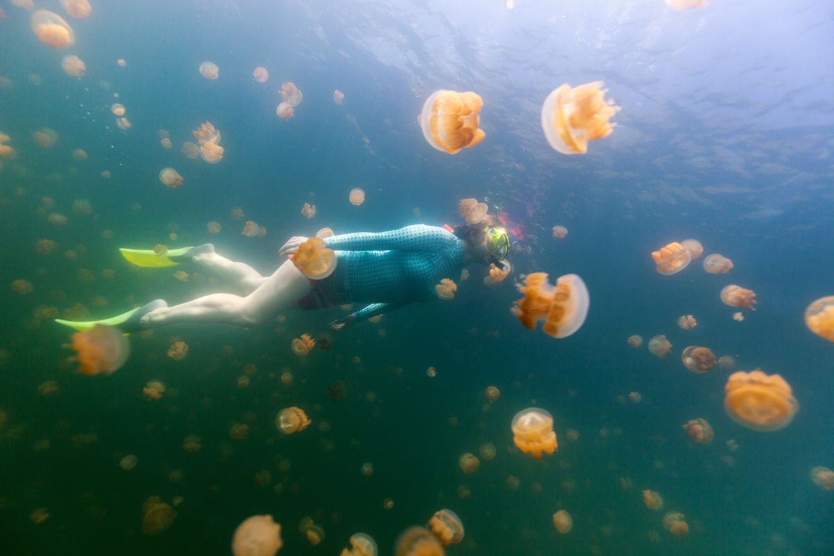 xr:d:DAFzuU4uaAc:1644,j:4349760319908150092,t:23111215