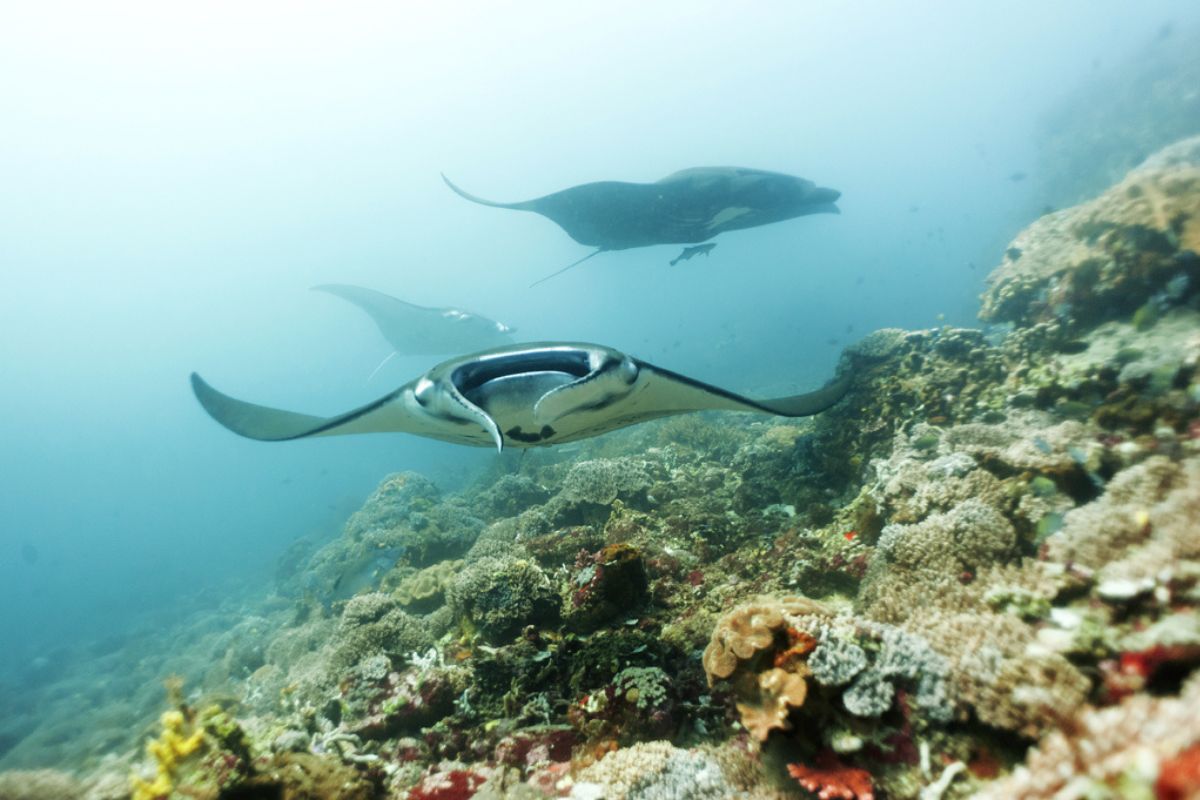 xr:d:DAFzuU4uaAc:2178,j:1809730217652516619,t:23111311