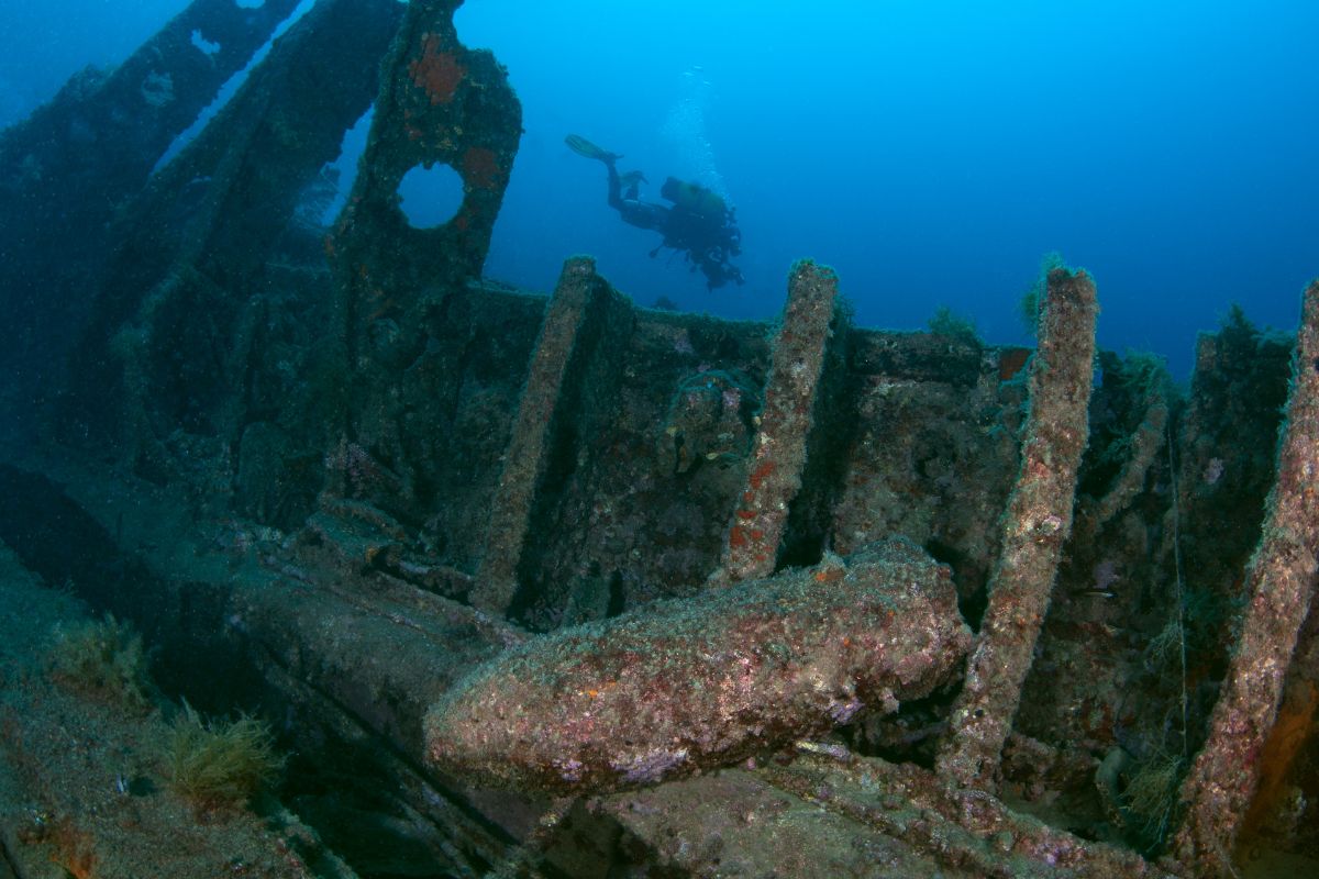 xr:d:DAFzuU4uaAc:1706,j:1577794797150973179,t:23111302