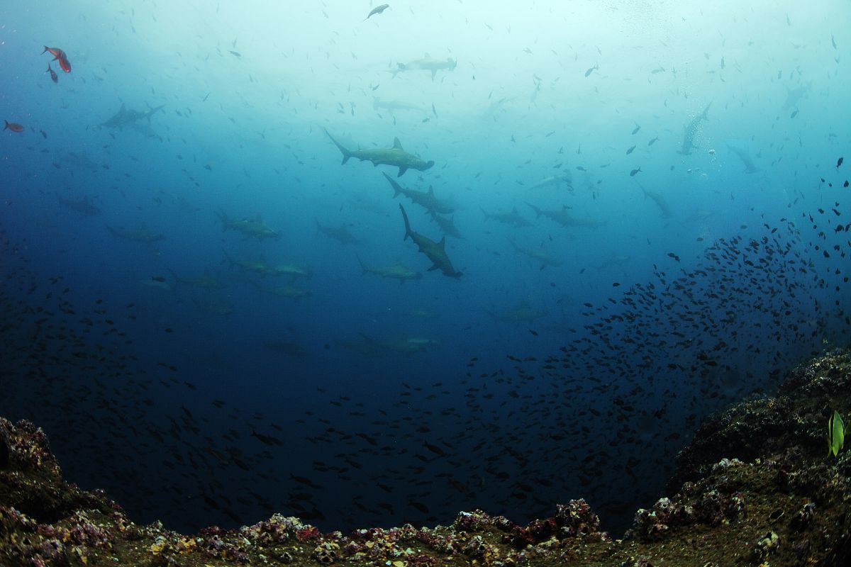 xr:d:DAFzuU4uaAc:1591,j:7504531854596418251,t:23111214