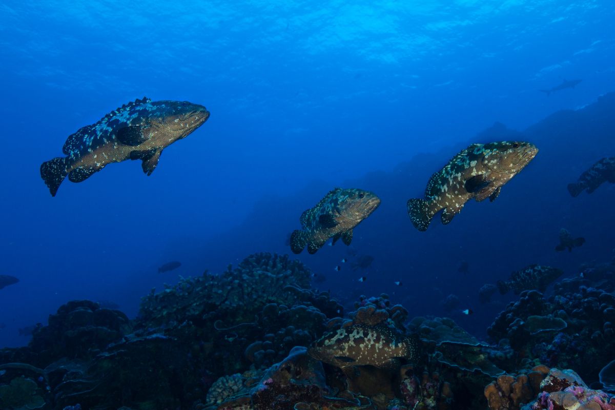 xr:d:DAFzuU4uaAc:384,j:5107490823459243882,t:23111107