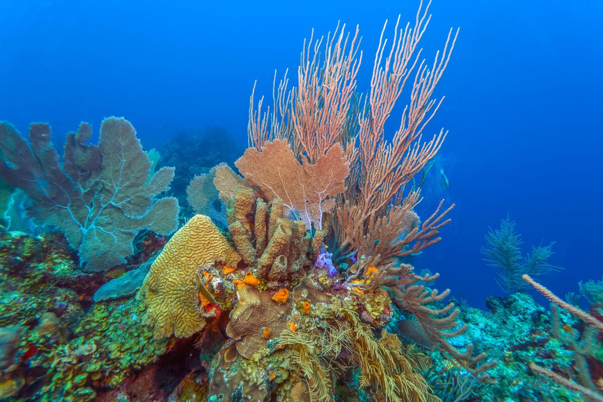 xr:d:DAFzuU4uaAc:1684,j:3531231134128201664,t:23111301