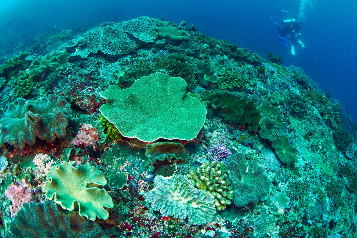 xr:d:DAFzuU4uaAc:1583,j:4707796487888379765,t:23111214