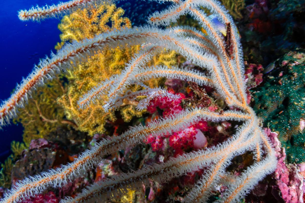 xr:d:DAF2S8I2ARY:45,j:466534488613789246,t:23121105