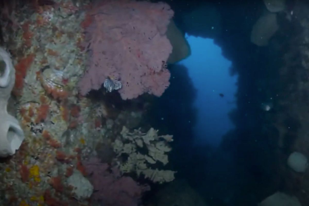 xr:d:DAFzuU4uaAc:1847,j:6427045707737215633,t:23111304