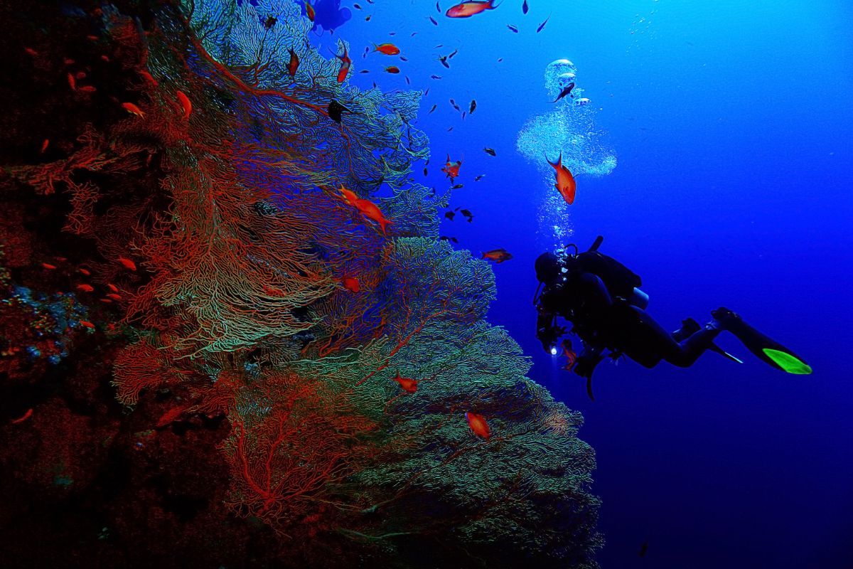 xr:d:DAFzuU4uaAc:1641,j:6595930635624949816,t:23111215