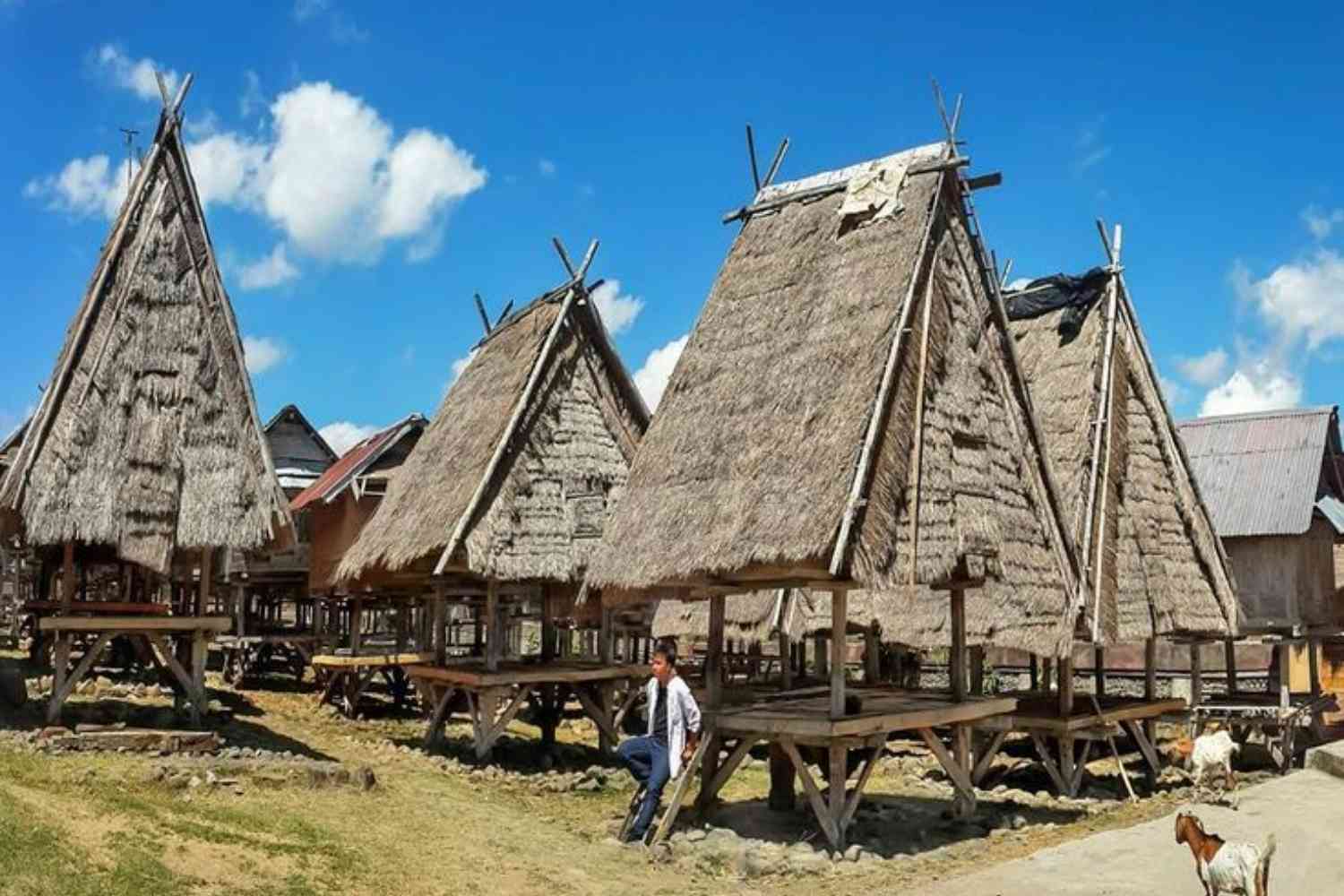 bima donggo villages