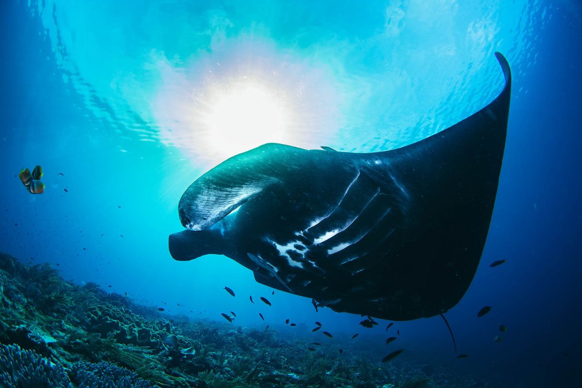 xr:d:DAFzuU4uaAc:833,j:207574464437818049,t:23111116