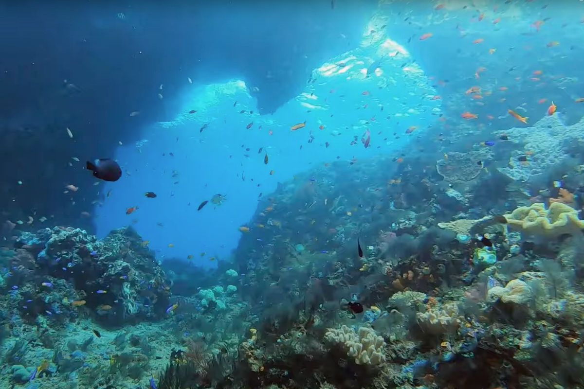 xr:d:DAFzuU4uaAc:2031,j:8466050456342741318,t:23111308