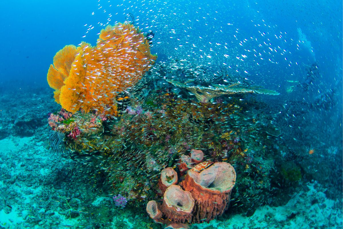 xr:d:DAFzuU4uaAc:1465,j:6799718508255251124,t:23111212