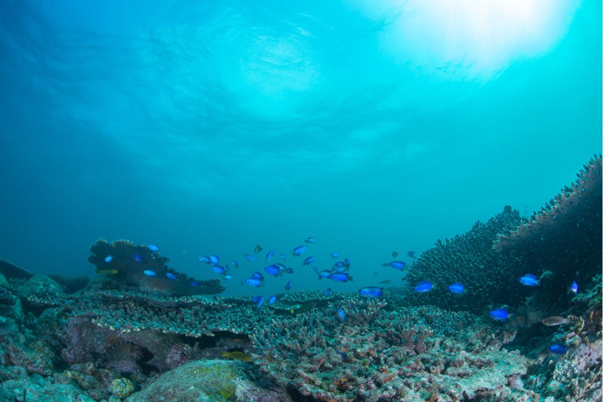 xr:d:DAFzuU4uaAc:1857,j:490175498619541877,t:23111304