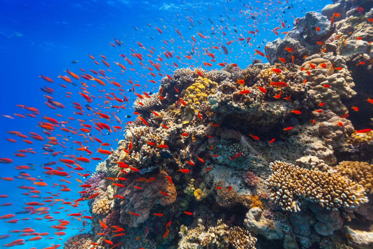 xr:d:DAFzuU4uaAc:1183,j:6595930599260015562,t:23111206