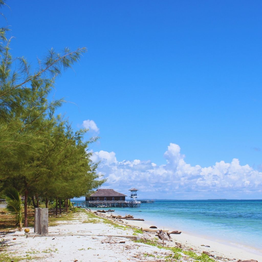 derawan island