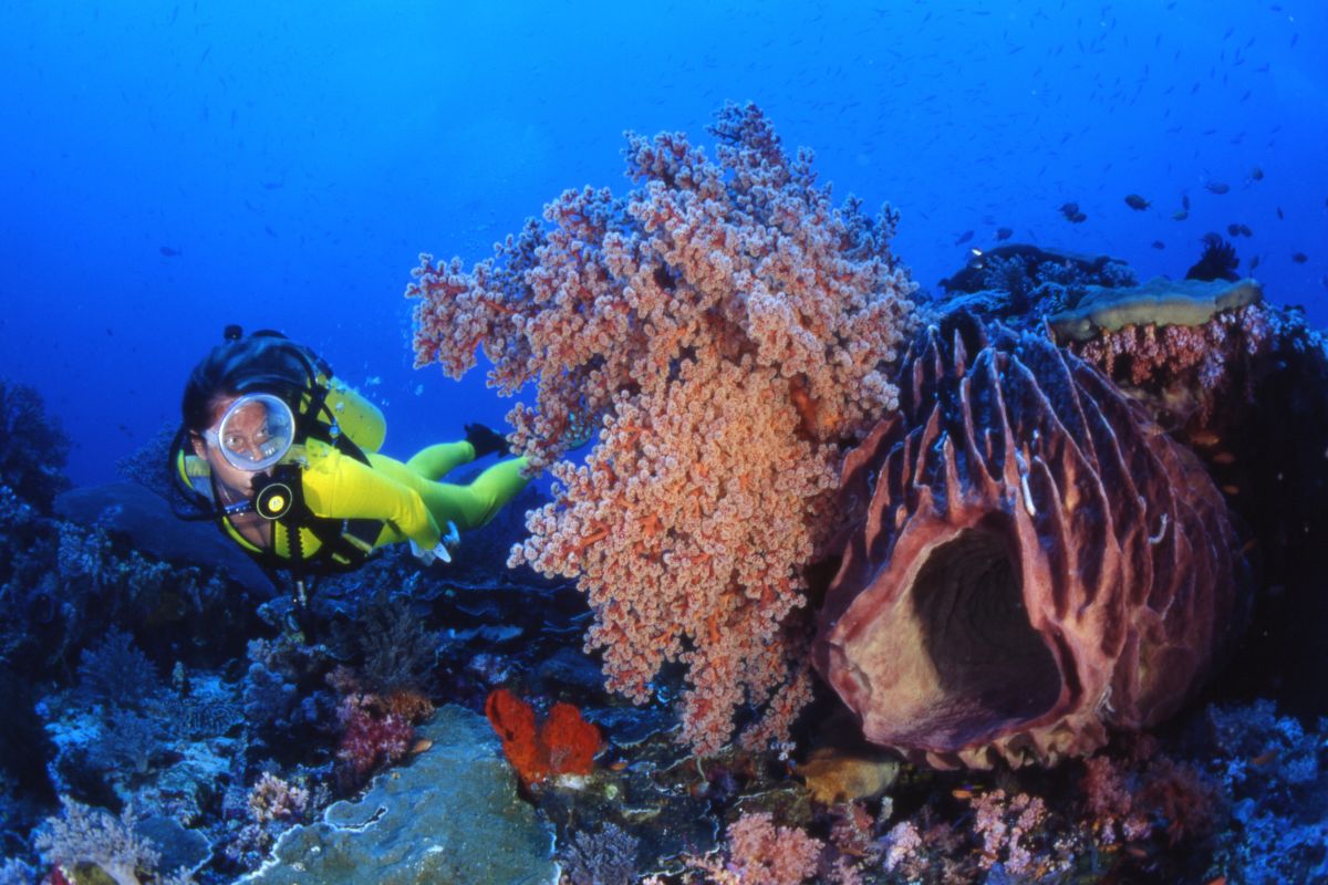 xr:d:DAFzuU4uaAc:1720,j:5434001979653687616,t:23111302