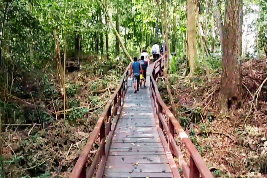 kakaban jungle trekking
