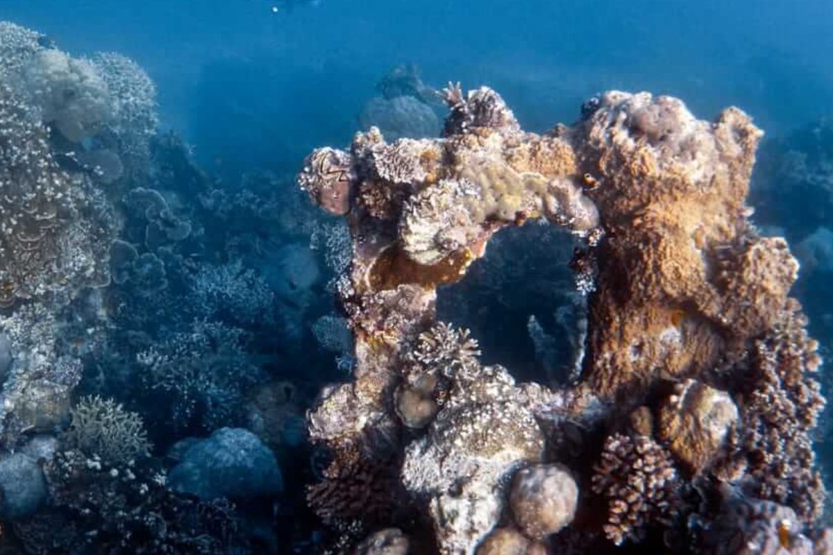 xr:d:DAF4u0_lkYY:178,j:6327971803811220409,t:24010312