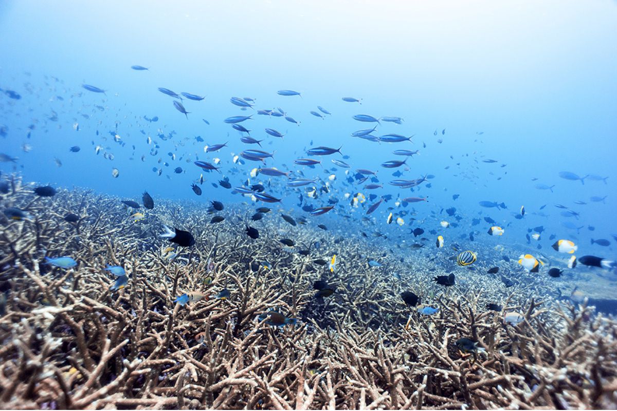 xr:d:DAFzuU4uaAc:1983,j:2792640817496301248,t:23111307