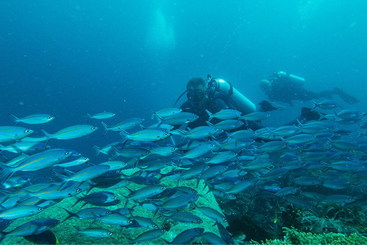 xr:d:DAFzuU4uaAc:2059,j:2291615370137779692,t:23111309