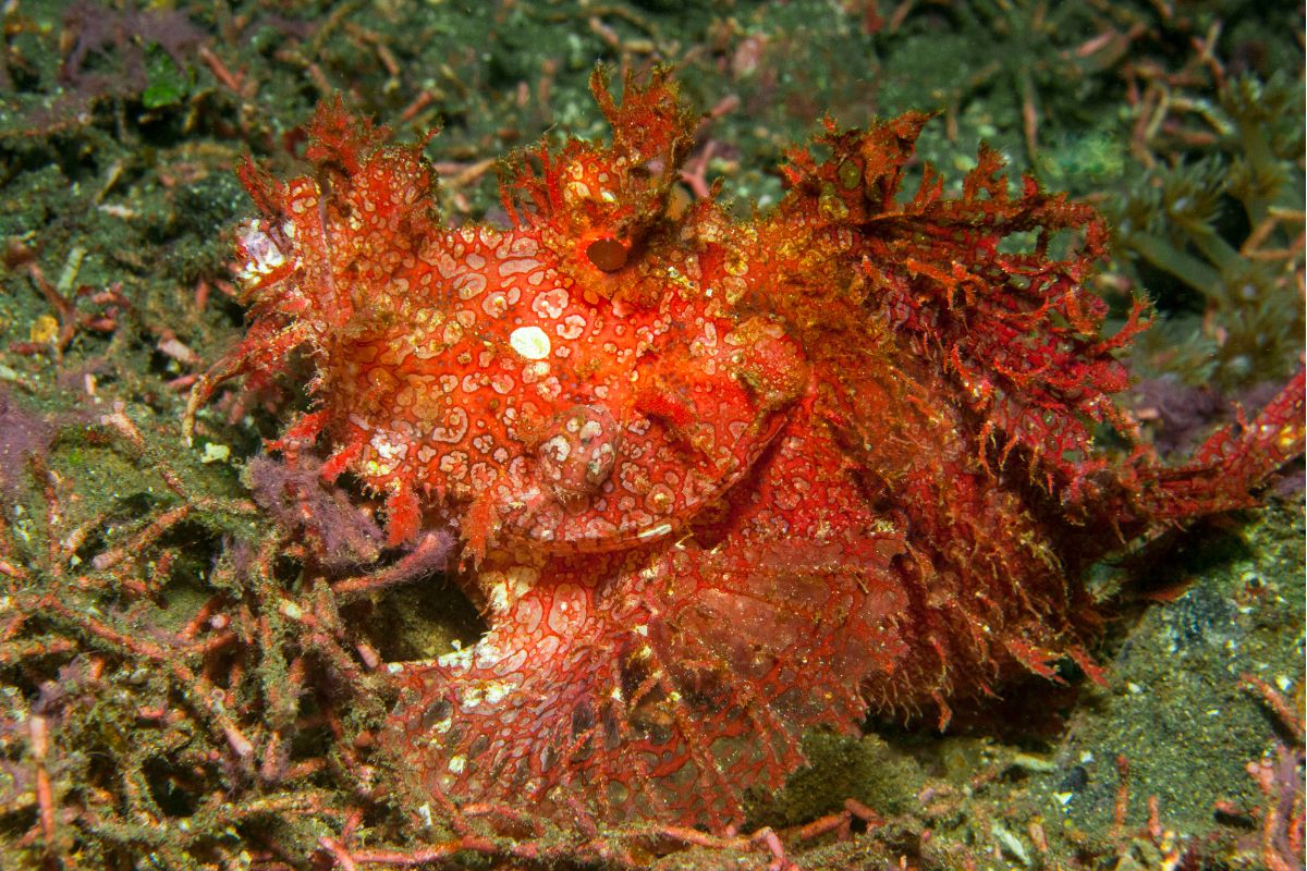 xr:d:DAFzuU4uaAc:1933,j:2738597621702012679,t:23111306