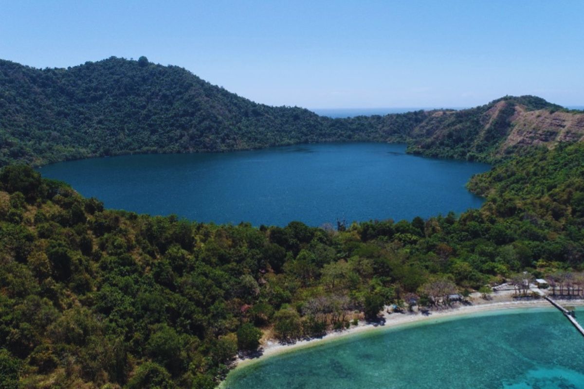 Sumbawa Diving Guide: Whale Sharks, Volcanic Vents, and the Shadow of Tambora - Liveaboard Indonesia