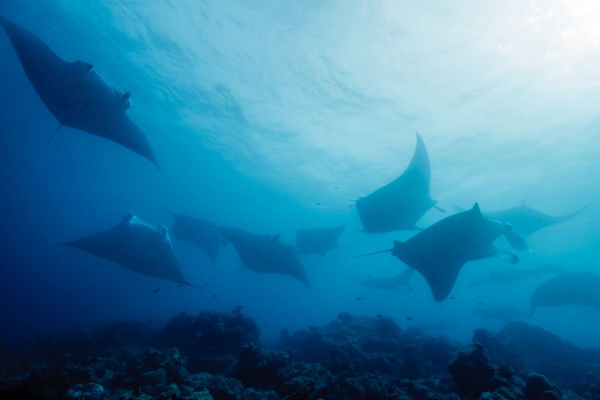 xr:d:DAFzuU4uaAc:1662,j:7847931373836445841,t:23111301