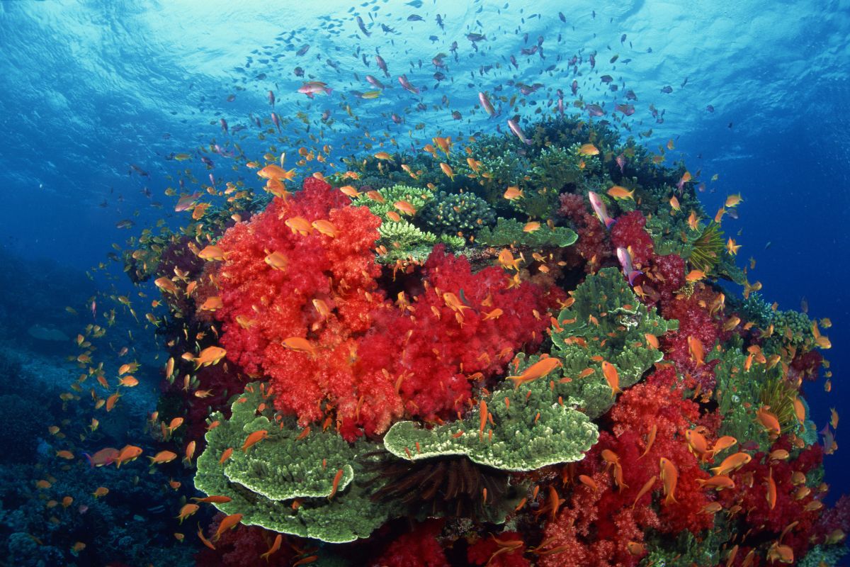 xr:d:DAF2S8I2ARY:28,j:8469431029174100875,t:23121105