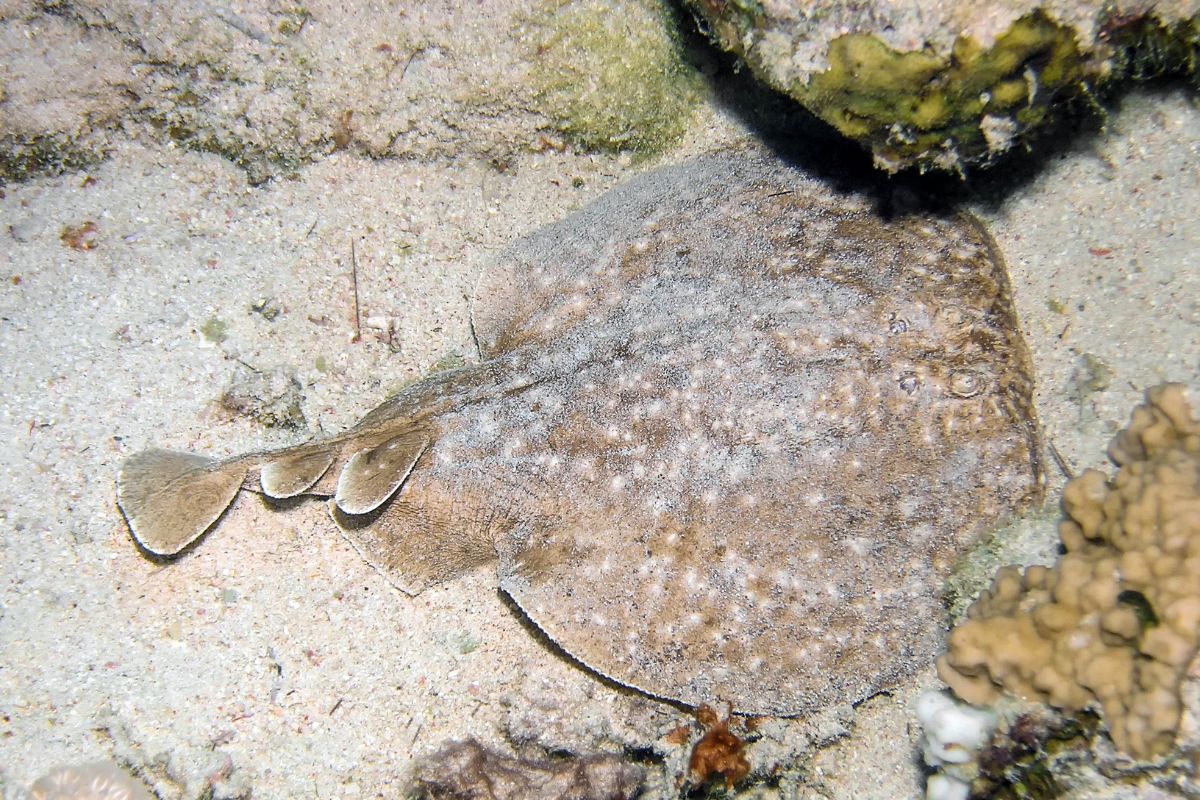 xr:d:DAFzuU4uaAc:2122,j:7450488748381851482,t:23111310