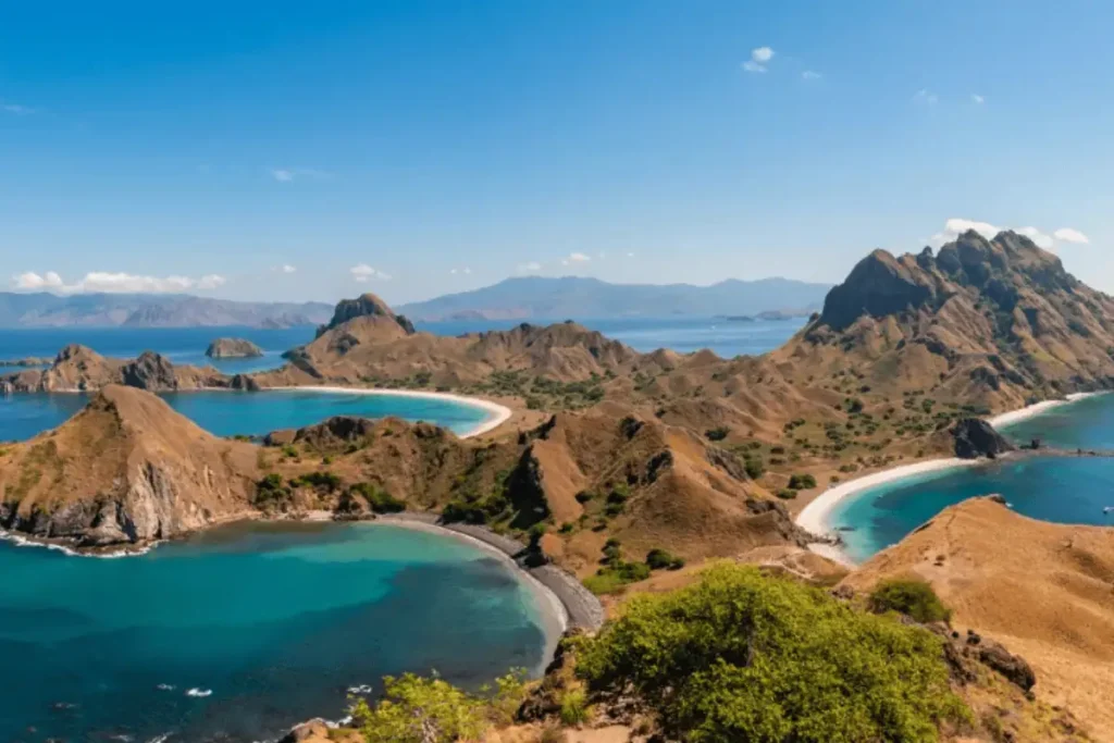 Manta Ray Diving in Indonesia: Where to Go, When, and What You're Actually Seeing Manta Ray Diving in Indonesia: Where to Go, When, and What You're Actually Seeing - Liveaboard Indonesia