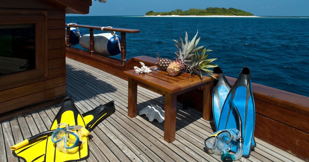 Your First Liveaboard in Indonesia: What to Expect, What to Pack, and How to Choose Right - Liveaboard Indonesia