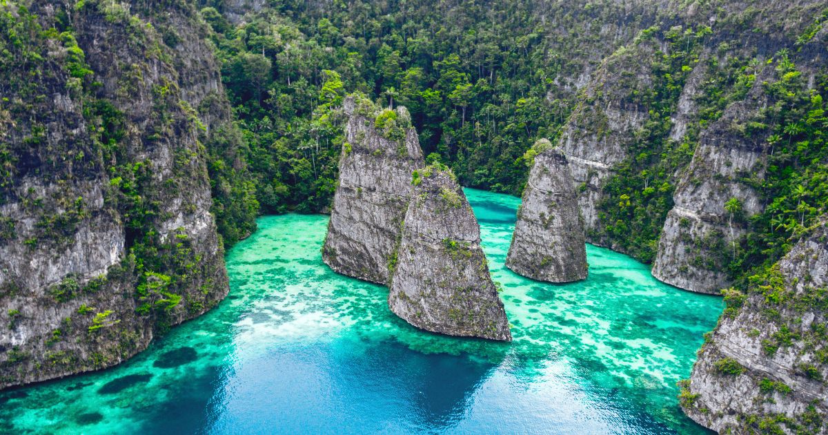 Raja Ampat Liveaboard vs Resort: Why Most Divers Should Choose the Boat - Liveaboard Indonesia