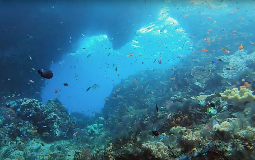 Raja Ampat Travel Guide: Diving, Liveaboards, and Planning Your Trip - Liveaboard Indonesia